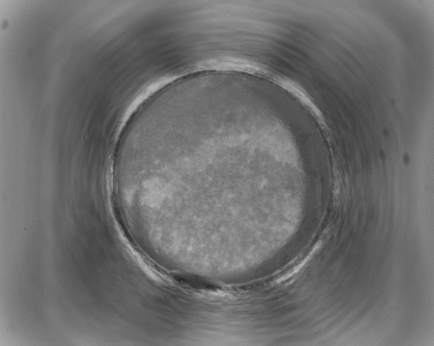 X0000087631040200705311323