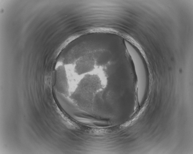 X0000087631041200705311323