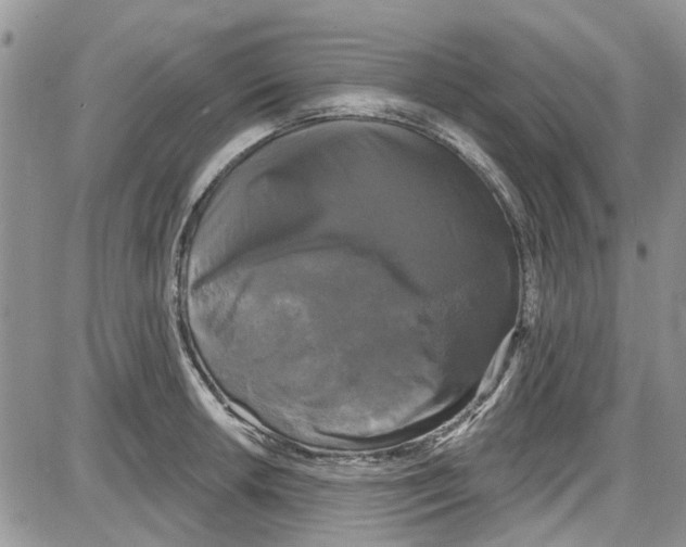 X0000087631042200705311324