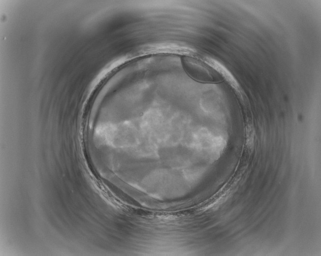 X0000087631043200705311324