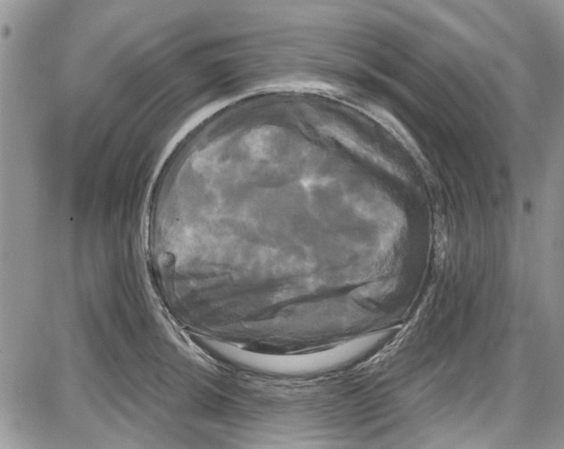 X0000087631044200705311324