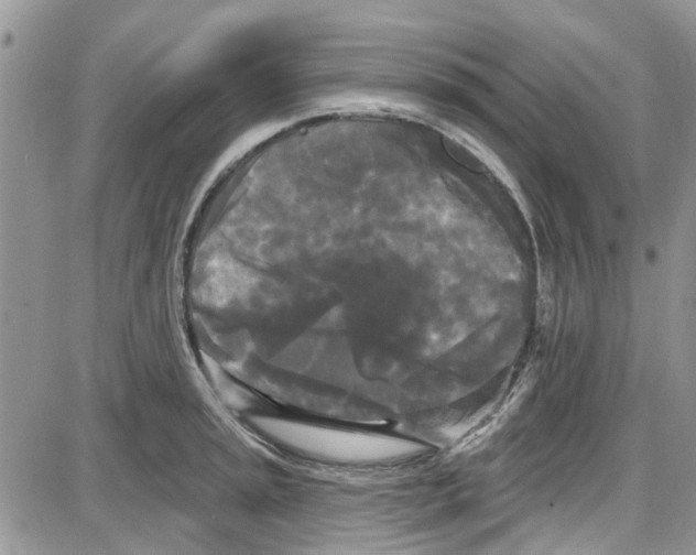 X0000087631045200705311324