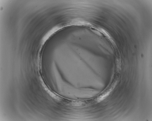 X0000087631046200705311324