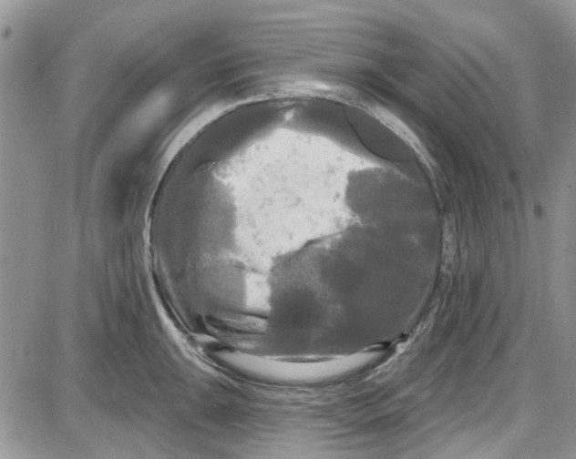 X0000087631047200705311324