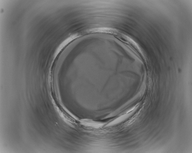 X0000087631050200705311324