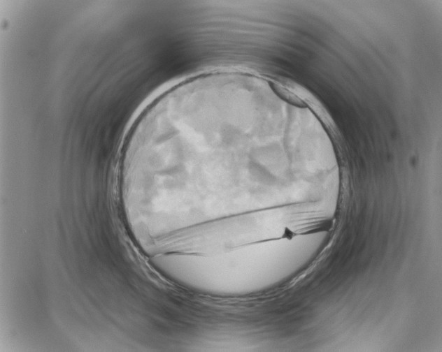 X0000087631052200705311324