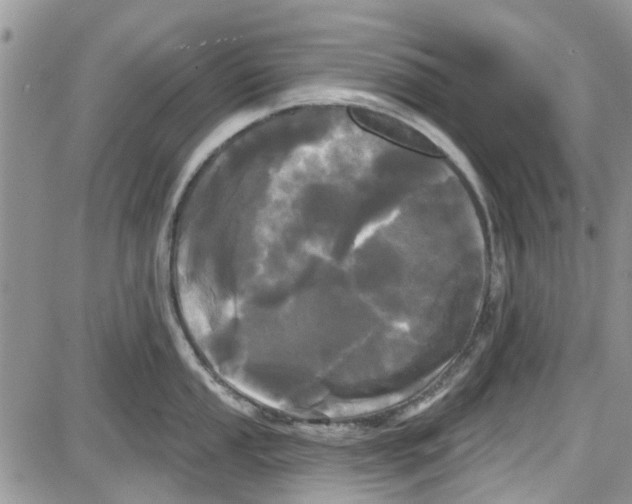 X0000087631053200705311324