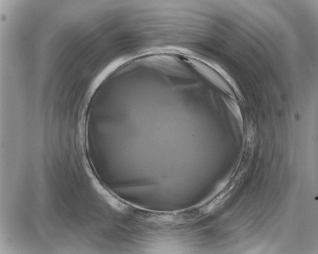 X0000087631054200705311324