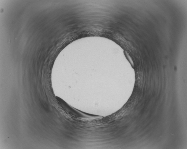 X0000087631057200705311323