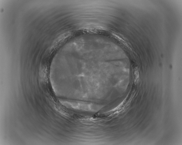 X0000087631060200705311323