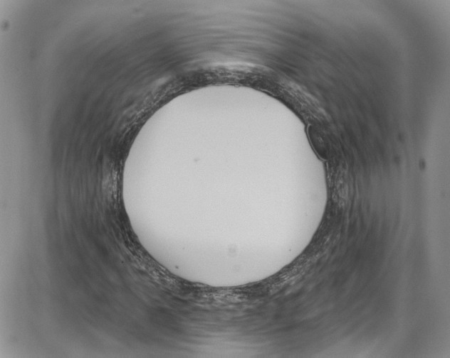 X0000087631061200705311323