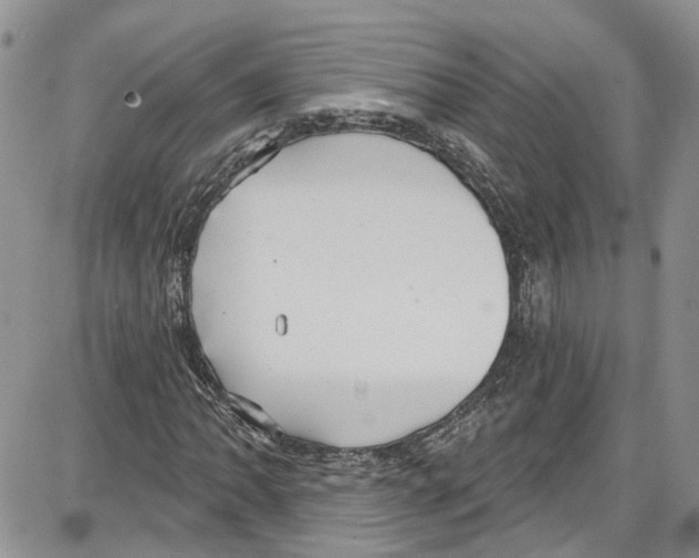 X0000087631062200705311323