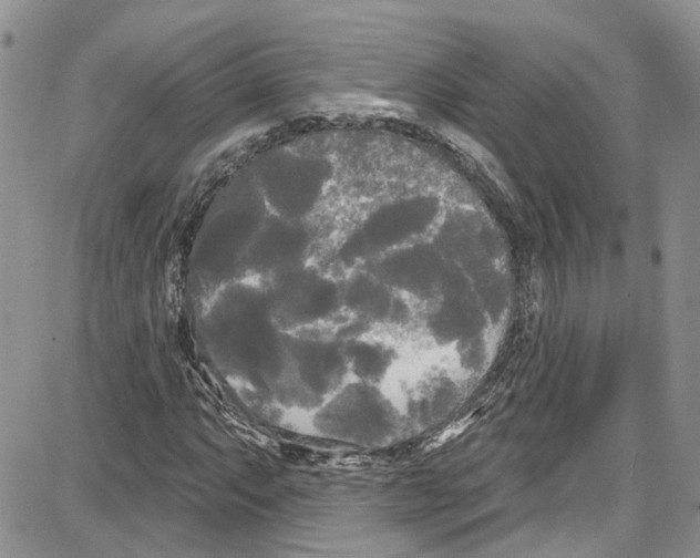 X0000087631063200705311323