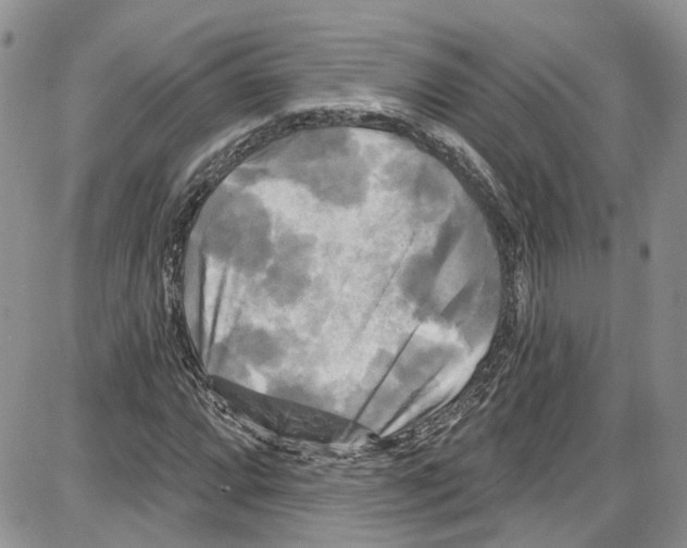 X0000087631064200705311323