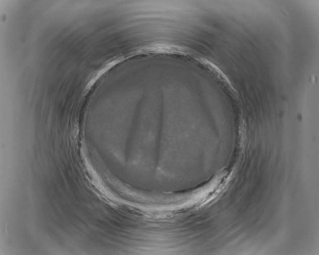 X0000087631065200705311323