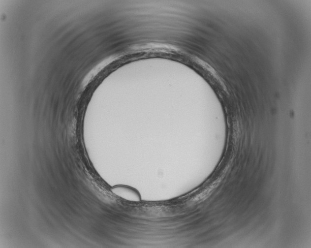 X0000087631066200705311323