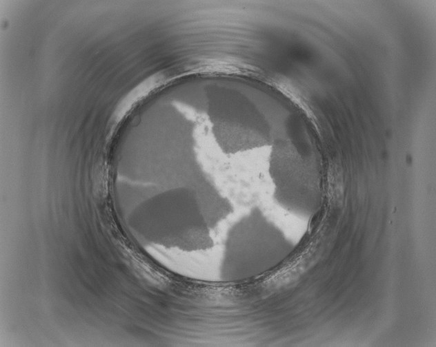 X0000087631067200705311323