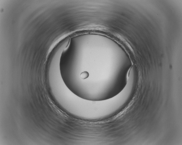 X0000087631069200705311323