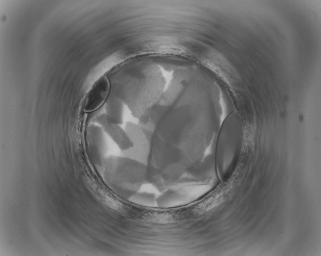 X0000087631071200705311323