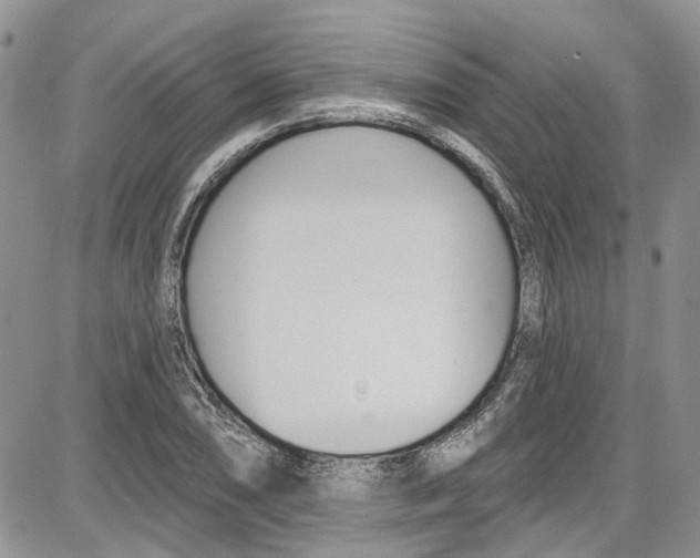 X0000087631074200705311323