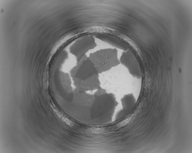 X0000087631075200705311323