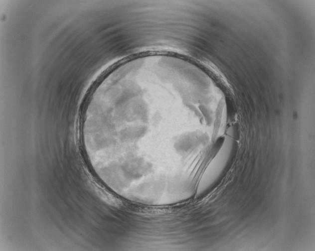 X0000087631076200705311323