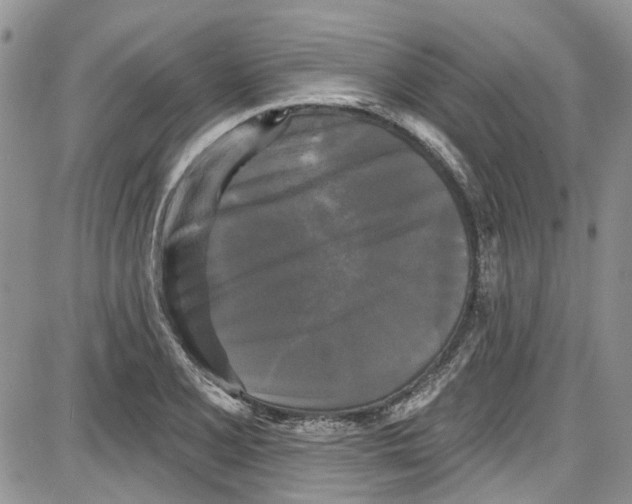 X0000087631077200705311323