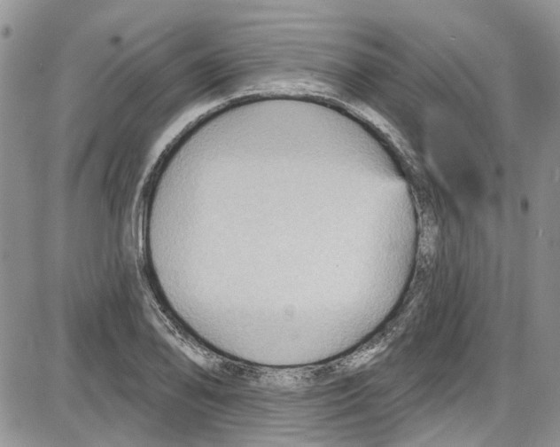 X0000087631078200705311323