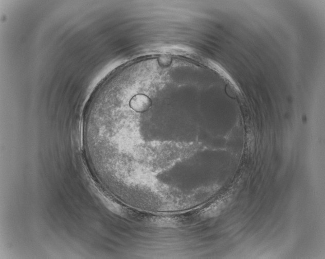 X0000087631079200705311323