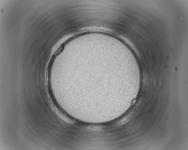 X0000087631082200705311323