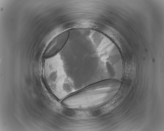 X0000087631083200705311323