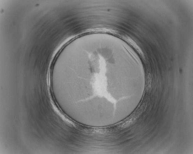 X0000087631084200705311323