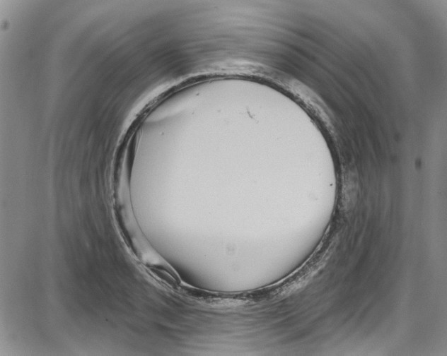 X0000087631085200705311323