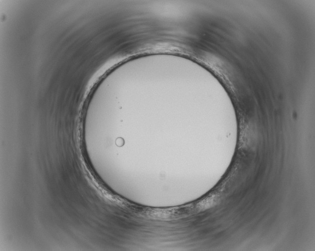 X0000087631086200705311322