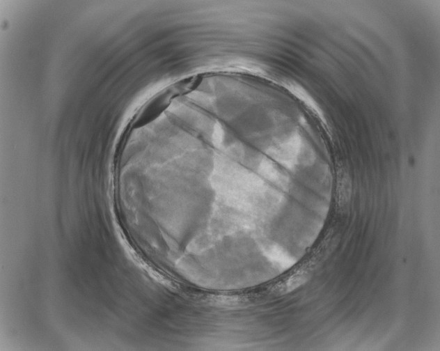 X0000087631088200705311322