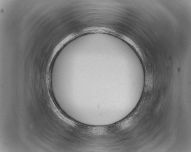 X0000087631090200705311322