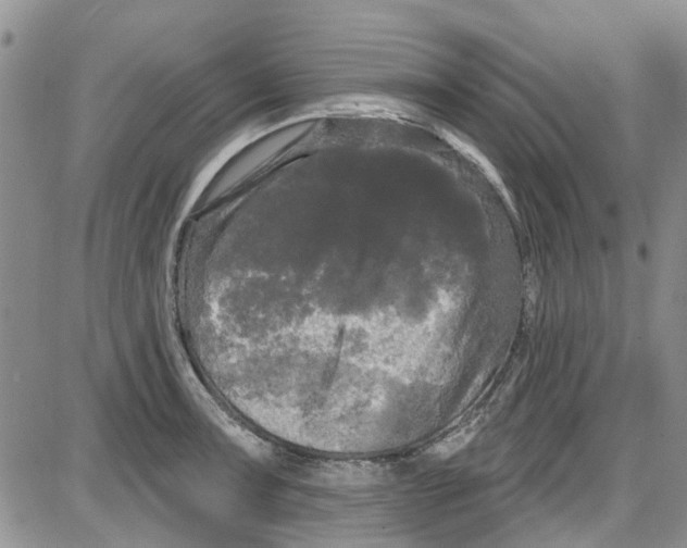 X0000087631091200705311322