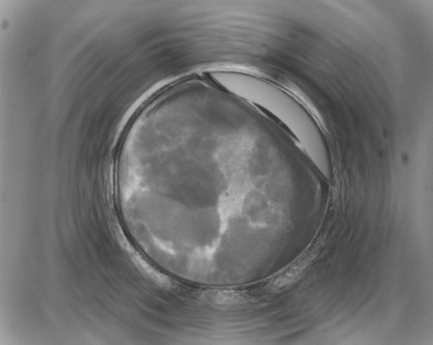 X0000087631092200705311322