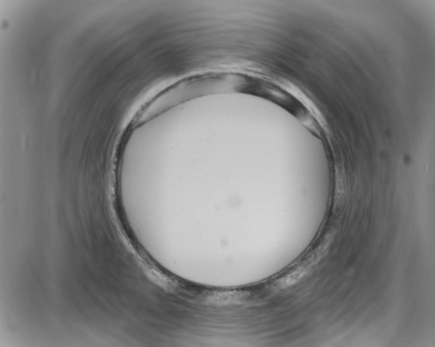 X0000087631093200705311322