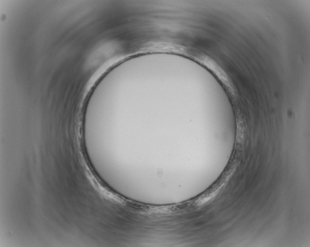 X0000087631094200705311322