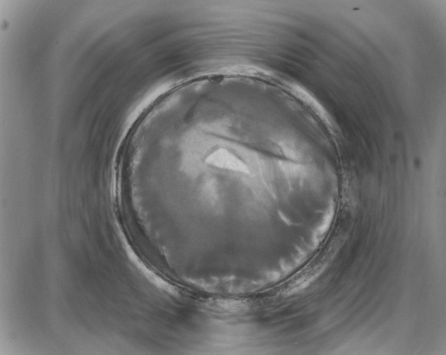 X0000087631095200705311322