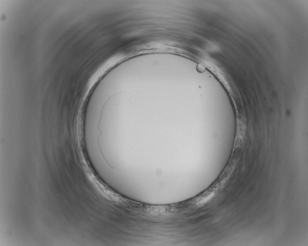 X0000087631098200705311322