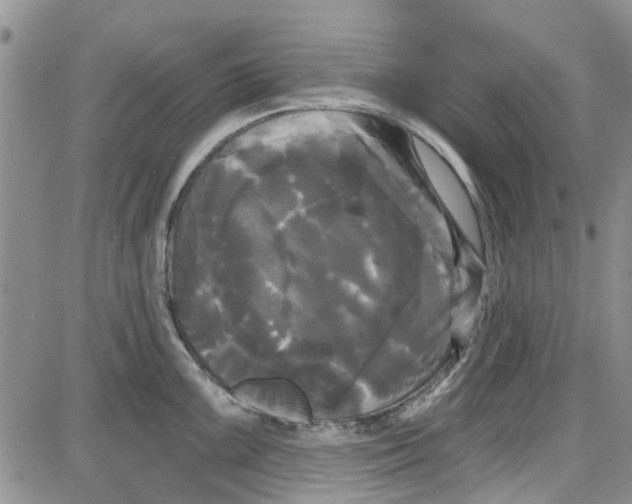 X0000087631099200705311322