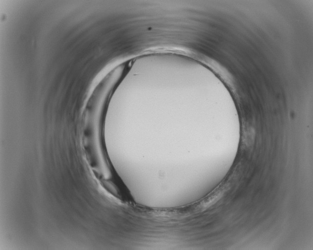 X0000087631102200705311322