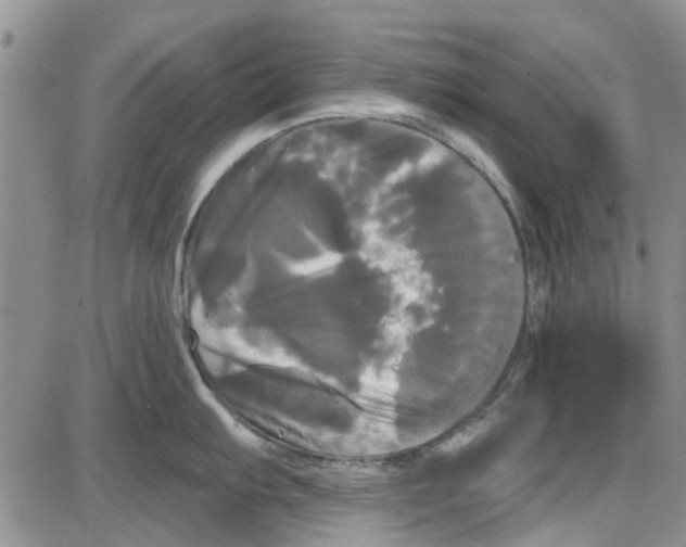 X0000087631103200705311322