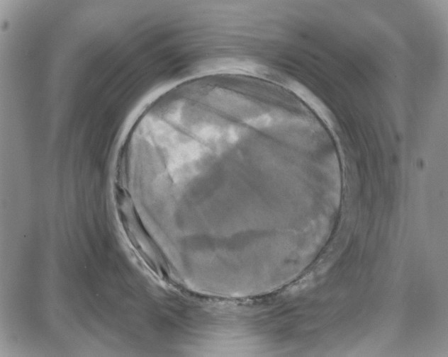 X0000087631104200705311322