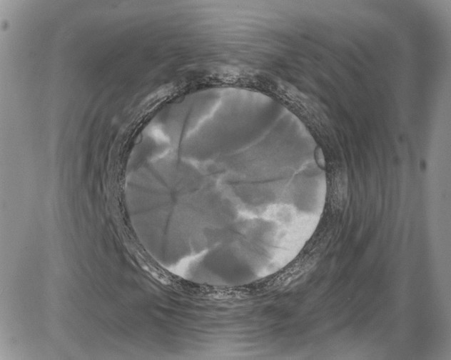 X0000087631105200705311321