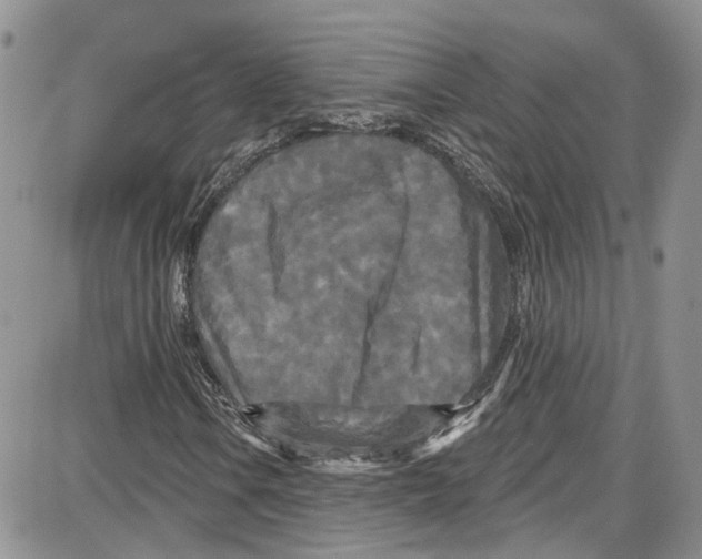 X0000087631106200705311321