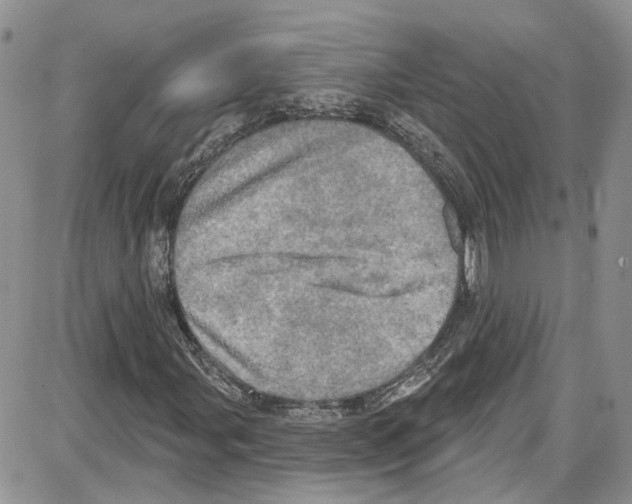 X0000087631107200705311321