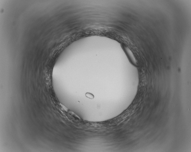 X0000087631109200705311321